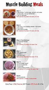 Pin On Muscle Building