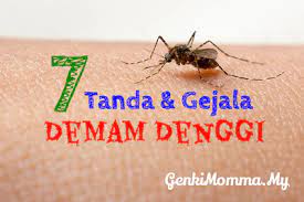 Kementerian kesihatan menjangkakan akan berlaku peningkatan kes demam denggi gelombang kedua bermula awal jun. 7 Tanda Demam Denggi Anda Perlu Tahu Genkimomma My