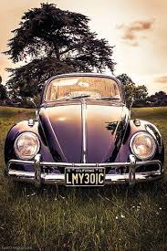 Sco5056 Vw Beetle Classic Volkswagen Vw Beetles