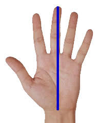 Spread your hand and fingers and place the tape measure at the tip of your middle finger. Hse Skin At Work Glove Sizes