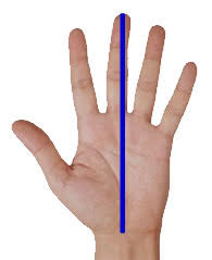 If you measure seven and a half inches, look for size 15 hockey gloves. Hse Skin At Work Glove Sizes