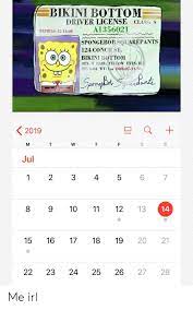 In this episode, spongebob visits the dreams of others. Bikini Bottom Driver License Class S A1356021 Expires 12 14 03 Spongebob Squarepants 124 Conchst Vikini Bottom Sex M Hair Yellow Eyes Blu Ht 0 04 Wt Loz Dob07 14 86 Sperg But Sgeacaionts 2019 T W T