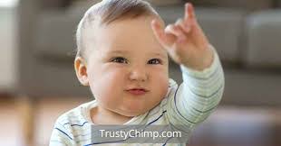 Vincent Oakley's Instagram, Twitter & Facebook