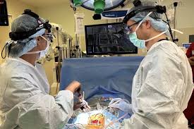 images?q=tbn:ANd9GcRjq8qkxGbXWkv