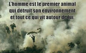 Chasseur immobilier 92 et son équipe de chasseurs de maisons et appartements, prend en charge votre recherche immobilière. En Finir Avec La Chasse En France Le Nombre De Chasseurs S Effondre Et C Est Tant Mieux Socialisme Libertaire