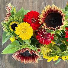 Pour la zone « amérique » vous afficherez la liste de tous les bouquets présents sur les satellites situés entre 150° ouest et 61,5° ouest. Community Supported Bouquets