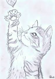 Zeichnung Bleistift Katzenbaby Von Pilli Zeichnung Bleistift Zeichnung Katze Zeichnen