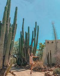 You can look at the address on the map. Papago Park Discover Hiking Recreation Near Downtown Phoenix