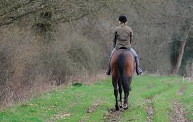 Three tries editing it and then i uploaded the wrong version, so here goes the second try!!! Apps For Horse Riders Horse Hound S Favourite Equestrian Apps