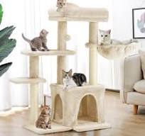 Cat Climbing Tower | Trees - EROMMY