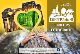 Posibilitatea de a vedea fiecare fotografie partajată în comunitatea noastră de fotografii este o plăcere și un privilegiu incredibil pentru mine. Concurs De Fotografie De Luna PÄƒdurii