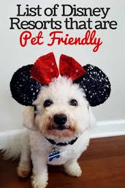 List Of Disney Resorts That Are Pet Friendly Disney Insider Tips Pet Friendly Resort Disney Resorts Pet Resort