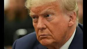 Get to know your 3x3 Tall Ferns: Jillian Harmon