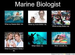 Inside the surprising social networks of fish (yes, fish). Marine Biologist Meme 3 Biology Memes Marine Biology Marine Biologist