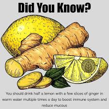 Pin By Carleen Jenkins On Medi Tips In 2020 Food Health Benefits Good Health Tips Health Food