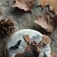 Tuckahoe Moose - Cookie Decorating Contest event in Glen Allen, VA