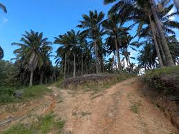 The best hiking trails in johor bahru. Visiting Tasik Biru Kangkar Pulai Blue Lake Made Easy