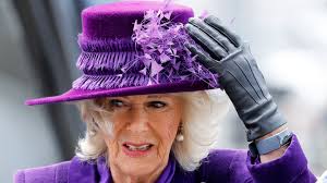 Things You Won't Catch Queen Camilla Wearing