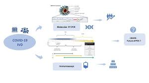 The pcr test is performed to get millions of copies of template dna for performing different genetic applications using the heat dependent rapid amplification method. why we always give importance to. Diagnostics Free Full Text Molecular And Serological Tests For Covid 19 A Comparative Review Of Sars Cov 2 Coronavirus Laboratory And Point Of Care Diagnostics Html