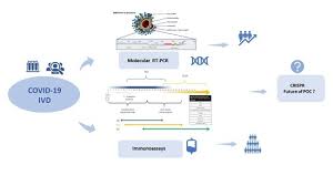 The format is gtr00000001.1, with a leading prefix 'gtr' followed by 8 digits, a period, then 1 or more digits representing the version. Diagnostics Free Full Text Molecular And Serological Tests For Covid 19 A Comparative Review Of Sars Cov 2 Coronavirus Laboratory And Point Of Care Diagnostics Html