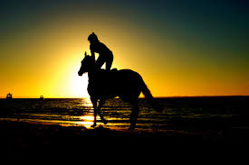 See more ideas about cowboys, cowboy and cowgirl, horses. Sunset Horse Ride Novocom Top