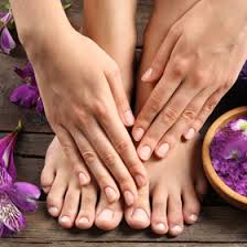 We did not find results for: Nail Salon 01129 Le Nails Spa Of Springfield Massachusetts Gel Manicure Dipping Powder Pedicure Acrylic Waxing Eyelash Extension Body Massage