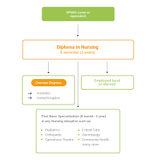 Book the best english course in malaysia on language international: 4 Really Really Good Reasons Why You Should Consider Nursing