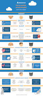 Lie Cycle Of Cats Dogs Vs Humans Infographic Health Human Development Infographic