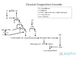 What are the most popular universities in khyber pakhtunkhwa? Coagulation Physiology And Acquired Coagulation Disorders Guy Young