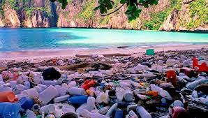 Sehingga mereka tidak mempunyai pilihan lain untuk meminum air kotor yang berasal dari air sungai yang bermuara di pantai tamban. Pantai Terkotor Di Dunia Adakah Yang Di Indonesia Merahputih