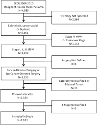 First online 11 april 2017; Impact Of Mesothelioma Histologic Subtype On Outcomes In The Surveillance Epidemiology And End Results Database Journal Of Surgical Research