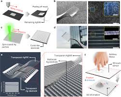 Bill gates says cryptocurrency is one innovation the world could do without. Transparent Wearable Three Dimensional Touch By Self Generated Multiscale Structure Nature Communications