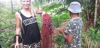 Amazon har hittills funnits i brasilien som marknadsplats för tredjepartssäljare. Amazonas Brasilien Guide Gefahren Fur Backpacker