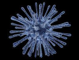 Check spelling or type a new query. Covid 19 The Tale Of One Virus And Two Testing Methods