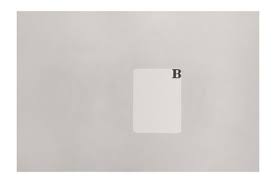 Bildergebnis für Sonia Andrade