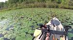 Fishing lily pads