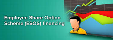 The socso ei scheme is effective from 1 january 2019. Benefits Of Employee Share Option Scheme Wealth Growers Club
