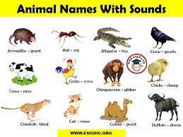 List Of Animal Sounds From A To Z Pdf And Infographics Engdic