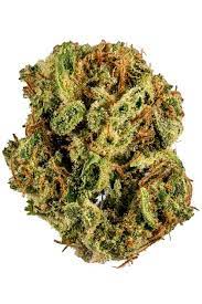 Gumbo Strain Indica Cannabis Video Thc Terpenes Hytiva