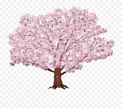Pikbest has 75313 sakura tree design images templates for free. Sakura Tree Background Sunrays Free Image On Pixabay Cherry Blossom Png Sakura Png Free Transparent Png Images Pngaaa Com