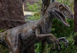 Check spelling or type a new query. Raptor Training In Jurassic World Dog Training Nation