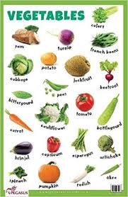 Buy Vegetables Thick Laminated Primary Chart Book Online