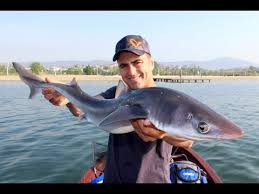 Marmara Da Lrf Takimi Ile Kopek Baligi Avi Sharks On Lrf Tackle Youtube