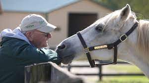 Tour Old Friends Thoroughbred Retirement Farm In Kentucky