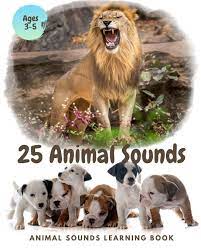 Noisy baby animals does exactly that. 25 Animal Sounds Learning Book Noisy Baby Animal Book For Kids My First Animal Toddlers Touch And Feel Ages 3 5 Queen Laurel 9798631503267 Amazon Com Books