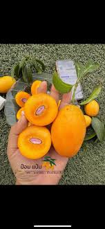 Hawaii Tropical Fruit Growers