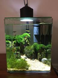 Eheim 16 Lts Aquarium Betta Aquarium Fresh Water Fish Tank