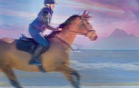 If You Had One Magical Day to Spend with Horses, What Would You Do?