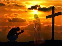 [Obrazek: images?q=tbn:ANd9GcRjrH9NbFaT1C9qIofeeJE...LdxvXjxQ&s]