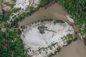 Brazil is a large and rapidly growing market for online shopping. Brazil Remove Miners From Indigenous Amazon Territory Human Rights Watch